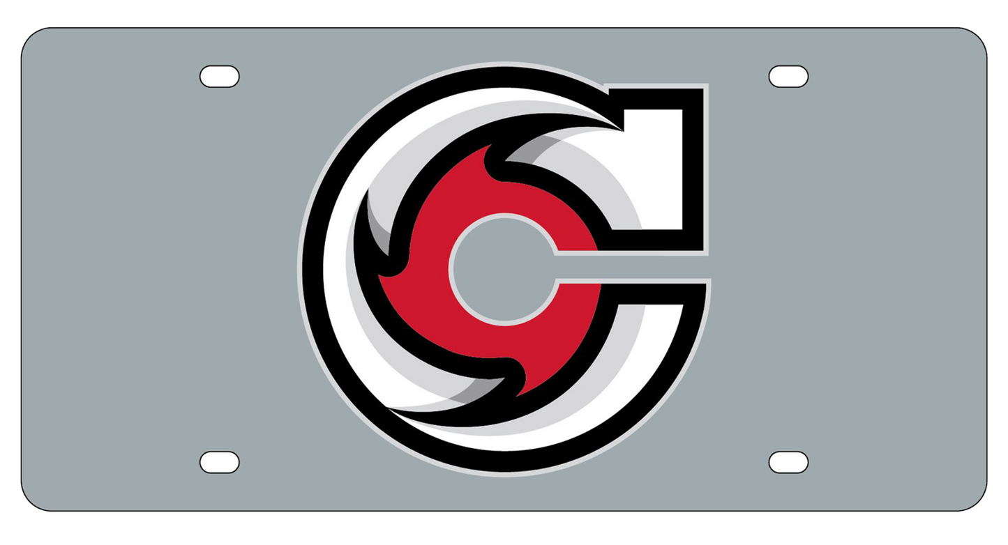 LICENSE PLATE GREY